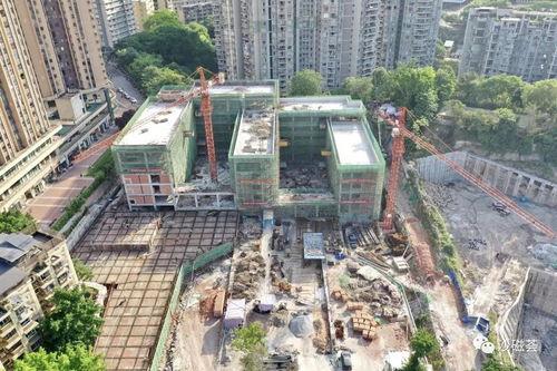 沙坪坝最新爆料,揭秘神秘项目背后的故事  第1张