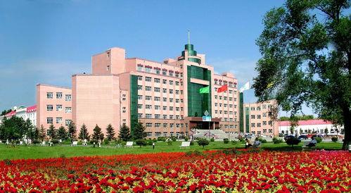 佳木斯大学爆料事件视频,视频揭露惊人真相  第3张