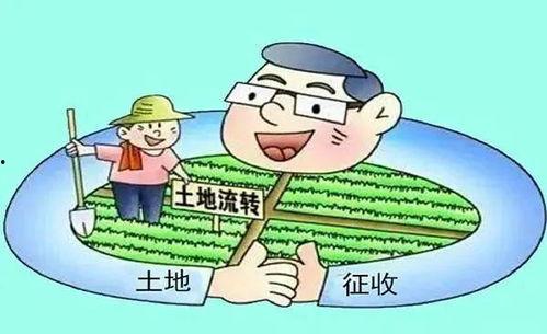 农村纠纷爆料案例最新,邻里矛盾升级，法律调解助力和谐  第2张