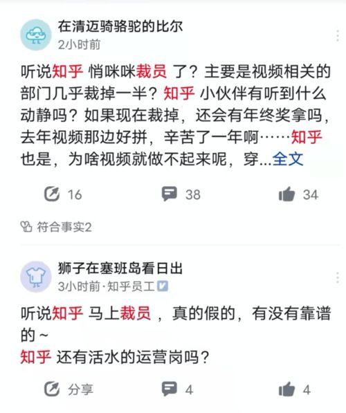 爆料发视频有奖励吗知乎,爆料发视频奖励真相，你了解多少？  第3张